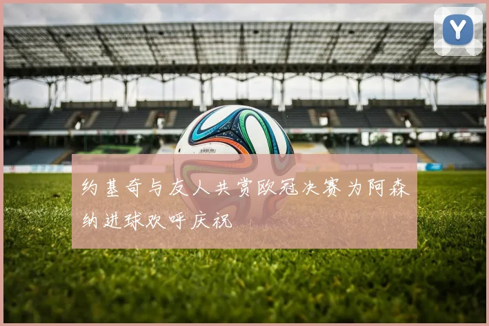 约基奇与友人共赏欧冠决赛为阿森纳进球欢呼庆祝