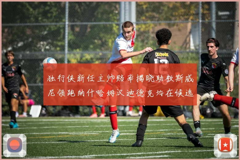 独行侠新任主帅赔率揭晓助教斯威尼领跑纳什哈姆汉迪德克均在候选之中